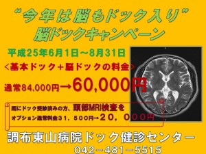 ブログけんしん