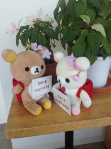 ダブルックマ-1