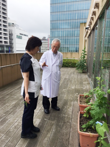 とうざん家庭菜園部1
