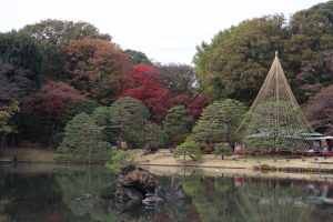 写真部六義園４